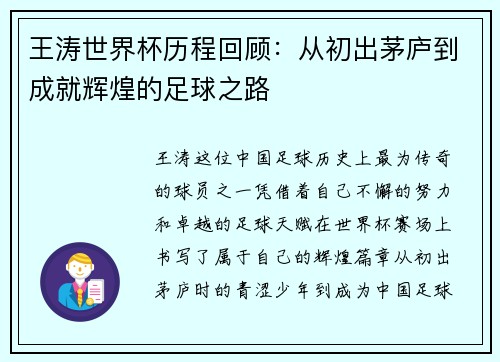王涛世界杯历程回顾：从初出茅庐到成就辉煌的足球之路